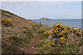 SV9116 : Coast path above Porth Seal by Andrew Abbott