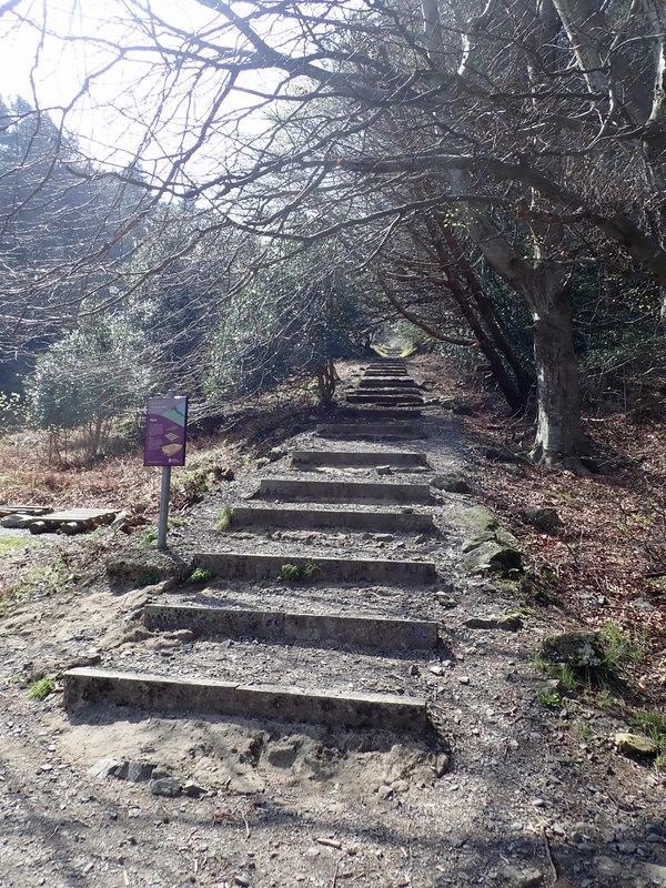 The Granite Trail © Eric Jones Geograph Ireland