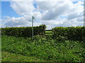 Footpath off Bickley Town Lane