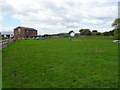 Grazing, Egerton Bank Farm