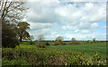 Farmland east of Haselbury Plucknett