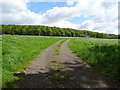 Farm track off Whitchurch Road (A41)