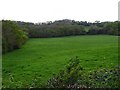 Field beside Langley Lane