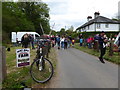 All the fun of the Blackheath May Day Fair (1)