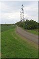 SP8761 : Pylons by the road to the watersports centre by Philip Jeffrey