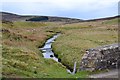 Roberton Burn