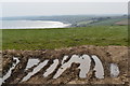 SW9138 : Muddy field entrance near Carne by Simon Mortimer