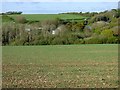 Farmland, Cubert