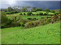 Pasture, Wendron