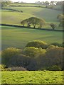 Farmland, Probus