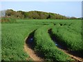 Farmland, St Erme