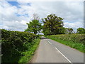 Mill Lane towards Coddington