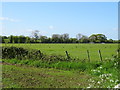 SJ3954 : Fields off Rossett Road by JThomas