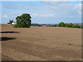 Field off Hoseley Lane