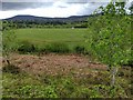 Looking across the field towards the B4391