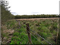 S4350 : Wire Fence and Field by kevin higgins