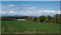 Large field above Mains of Geanies