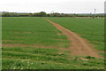 Bridleway heading for Summer Leys