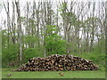 SO7354 : Logpile by Coalpits Wood by Jeff Gogarty