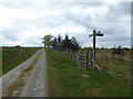 SO1486 : On part of the Kerry Ridgeway / Ffordd Las Ceri by Jeremy Bolwell