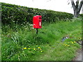 Elizabeth II postbox, Ashtons-cross