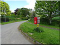 Elizabeth II postbox, Duckington