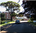 Clanville trees and flats, Minehead