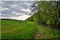 ST1617 : Taunton Deane : Grassy Field by Lewis Clarke