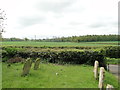 TG0008 : View from Whinburgh churchyard by Adrian S Pye