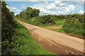 Lane to East Allington