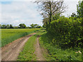 Peddars Way looking South