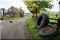 Farm cat crosses road, Ballykeel