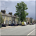 Hills Road: sunlight and rainclouds