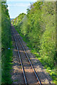 Chapelton : Railway Line