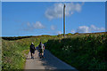 North Devon : Country Lane