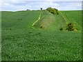 Farmland, Upavon