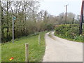 Footpath by Nant-y-Ffin