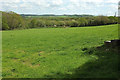 Grass field, Lilcot Farm