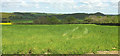 Field near Fishleigh Bridge