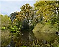 Rhodds Farm Gardens - the duck pond