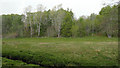 Grassland and woods beside the Keith and Dufftown Railway