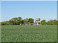 Water tower and farm at Cranley