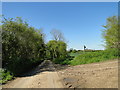 Footpath across the fields from Cock