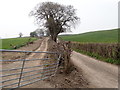 Earthworks at Hilltop