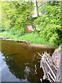 River cliff on the River Lyne