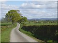 Road north of Oakshaw Hill