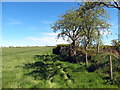 Llwybr Ceffyl ger Pen-yr-allt / Bridleway above Pen-yr-allt