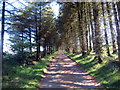 Heol fynediad Gellihen / Gellihen access road