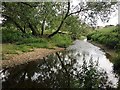 Beaches and riffles, River Cole, Kingshurst, east Birmingham