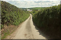 Lane to Bustley Bridge